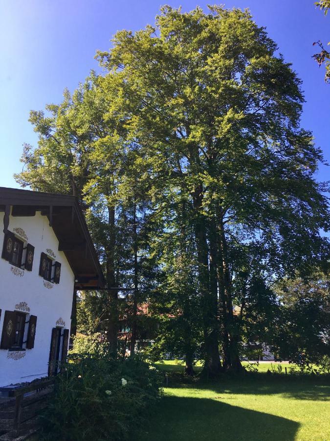 Traumhaftes Ferienhaus Direkt Am Tegernsee Rottach-Egern Exterior foto
